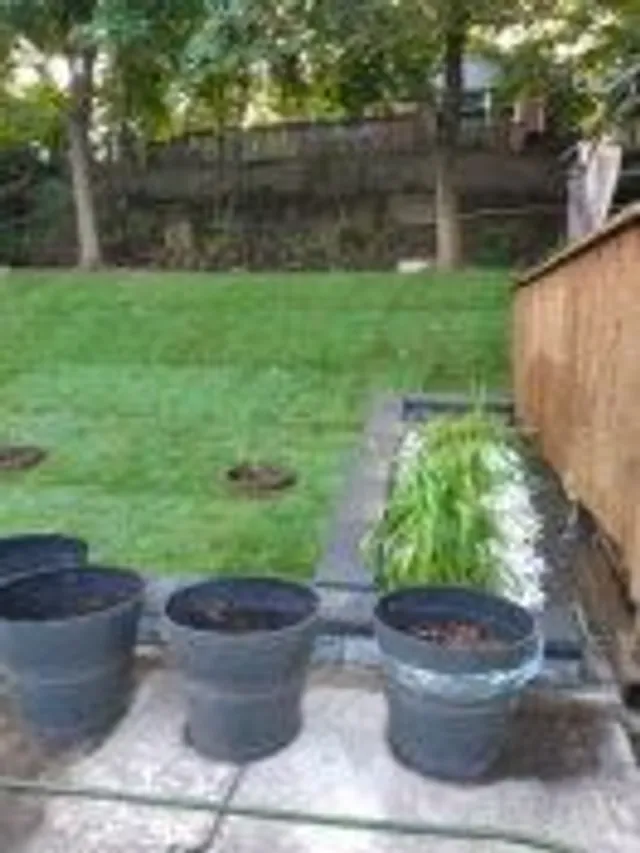 Additional image 4 of 37 Meadowland Dr