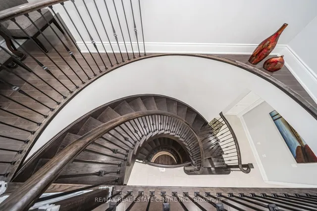 Additional image 38 of 72 BELLADONNA Circ