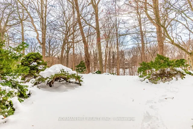 Additional image 4 of 49 Timberlane Dr