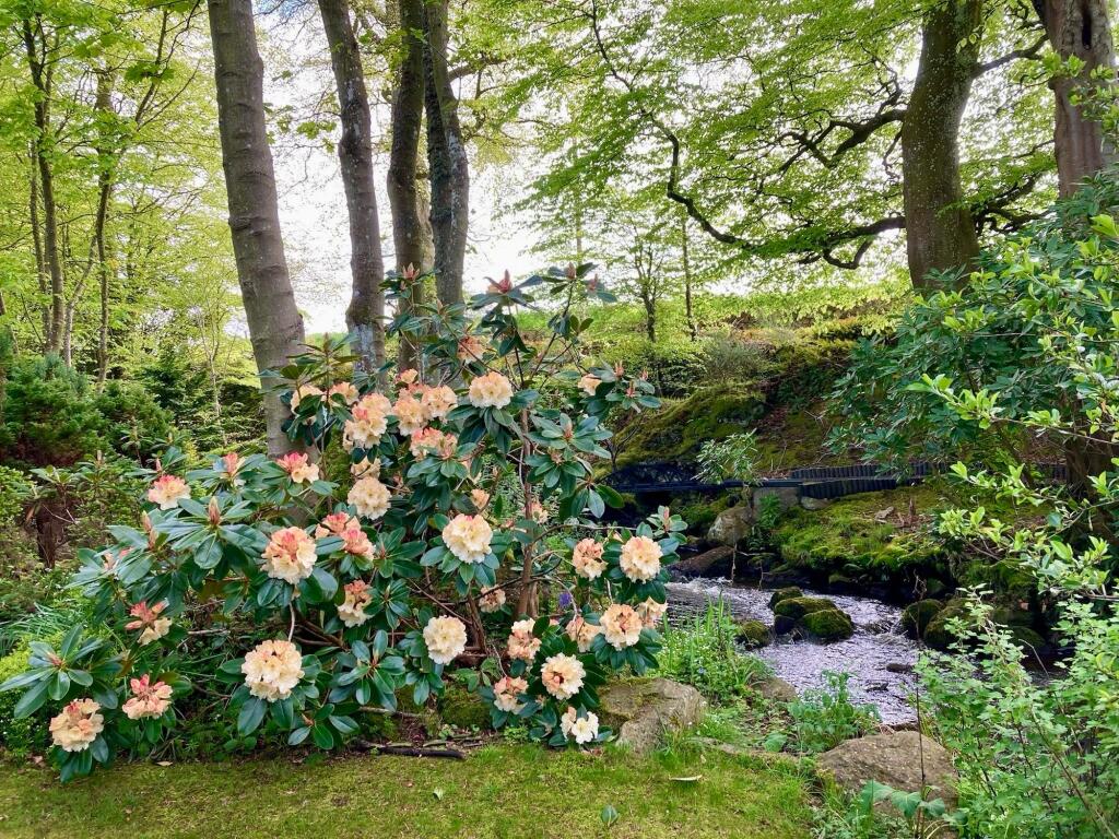 Additional image 56 of Dyce, Cothal, AB21