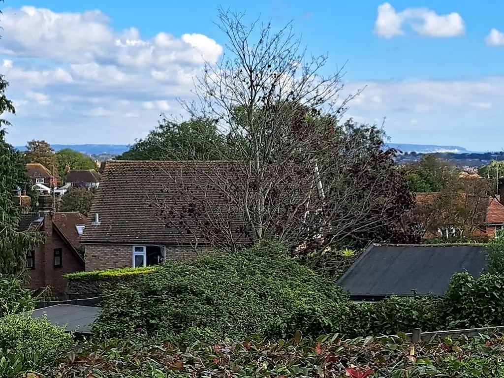 Additional image 17 of Buckhurst Close, Eastbourne, East Sussex, BN20 9EF