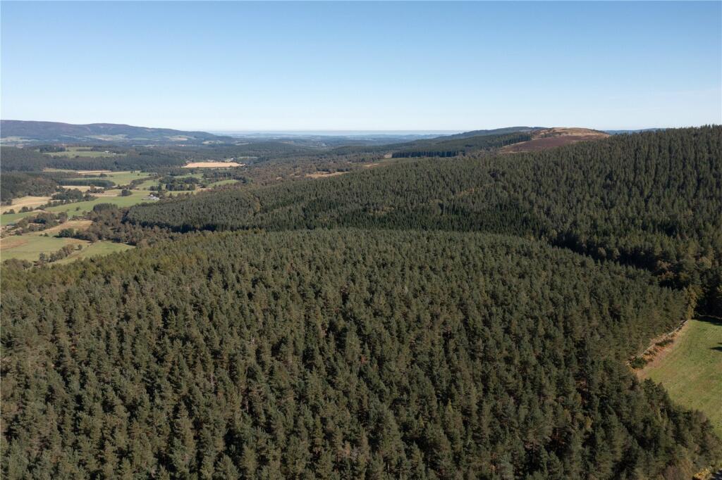 Additional image 6 of Arntilly Wood, Banchory, Aberdeenshire, AB34