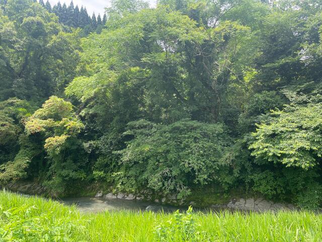 Primary image of Kumamoto Prefecture Shimomashiki District Misato Town Sakai