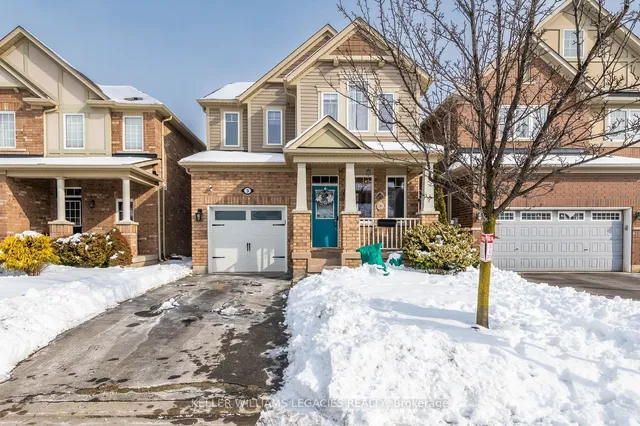 3 Berberis Cres