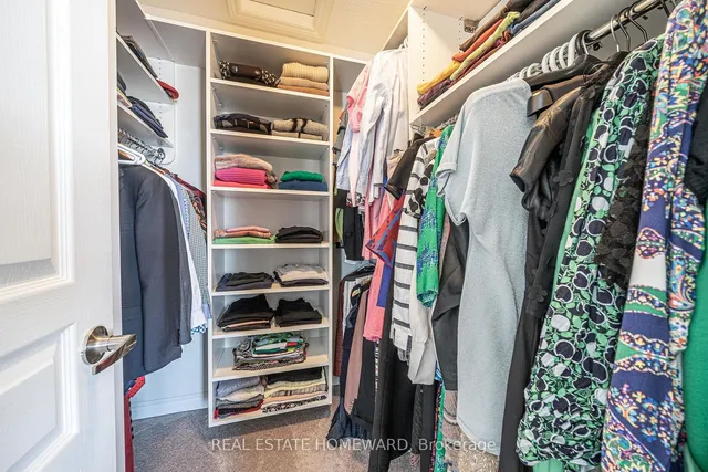 Additional image 26 of 20 Coneflower Cres