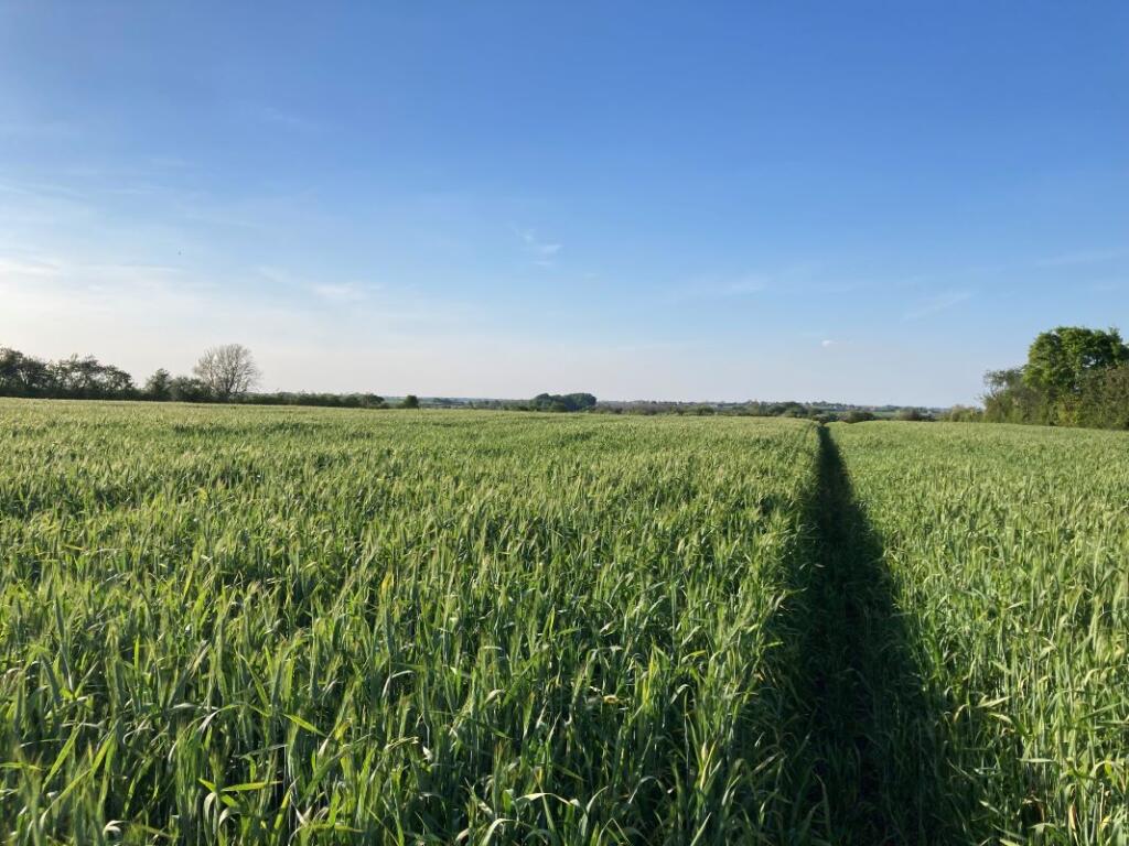 Additional image 6 of Land off Old Fen Baulk Road, Witchford, Ely, CB6 2HX