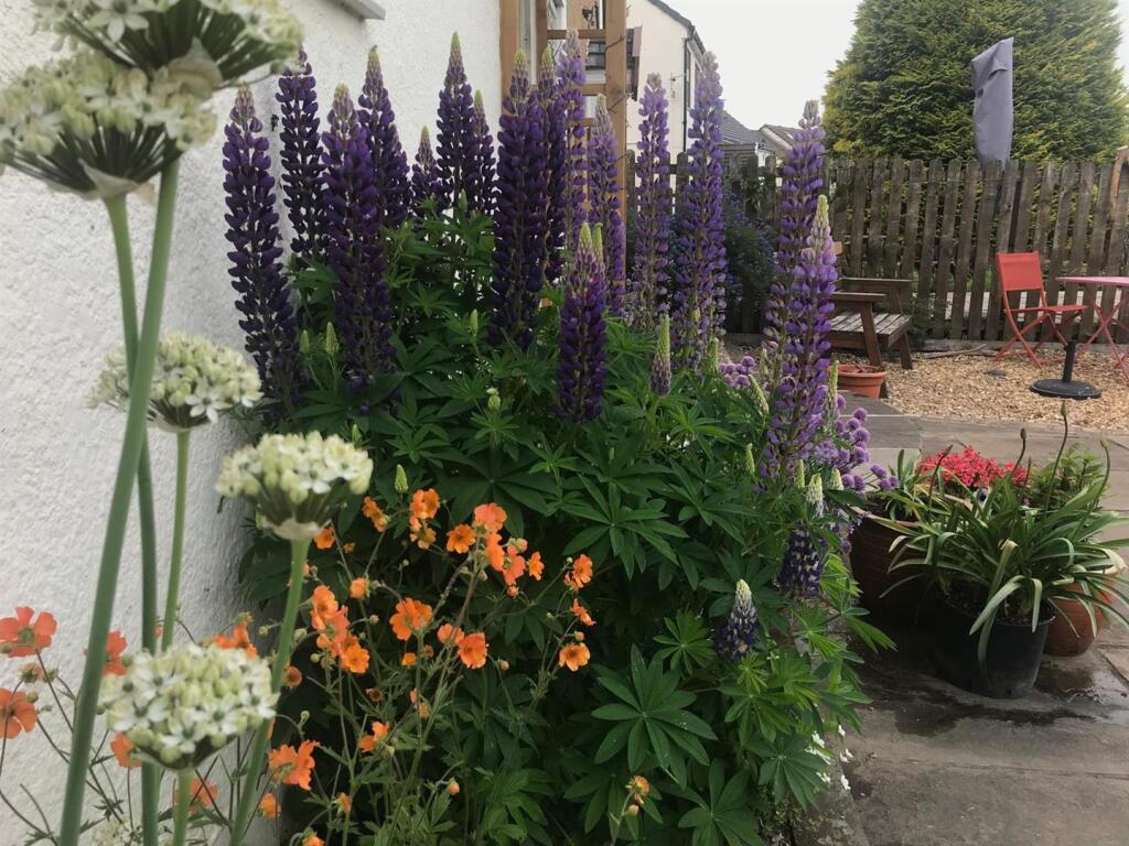 Additional image 36 of Wheatley Lane Road, Fence, Burnley