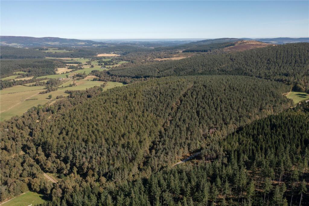 Additional image 11 of Arntilly Wood, Banchory, Aberdeenshire, AB34