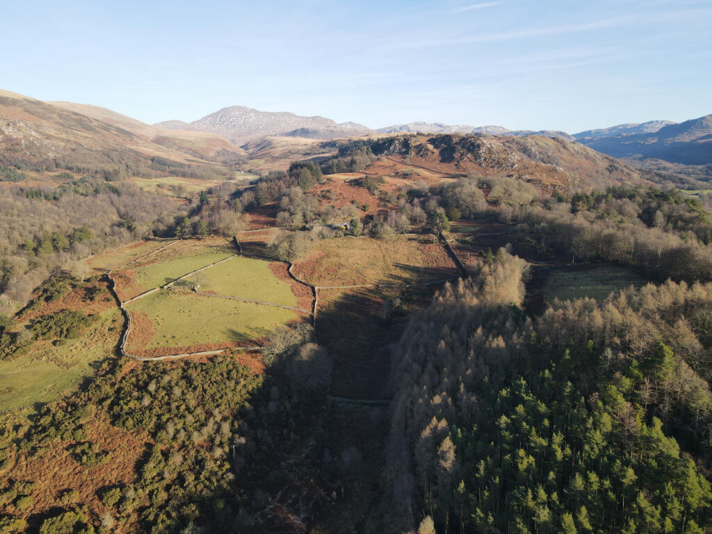 Additional image 4 of 81 acres of Agricultural land, Eskdale, CA19