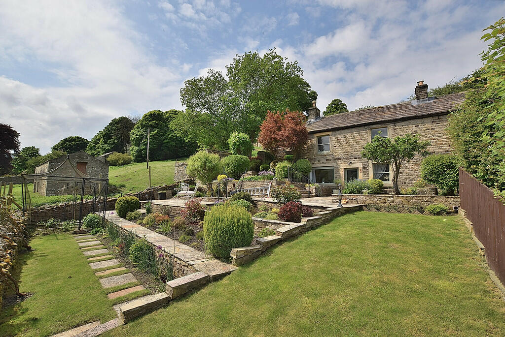 Additional image 21 of Low Row