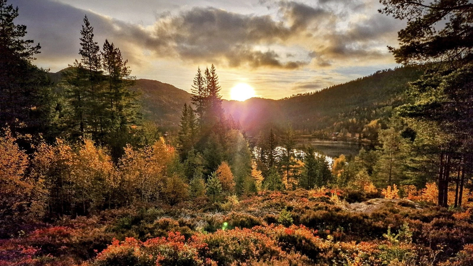 Additional image 3 of Sundstøyl 130, 4865 Åmli