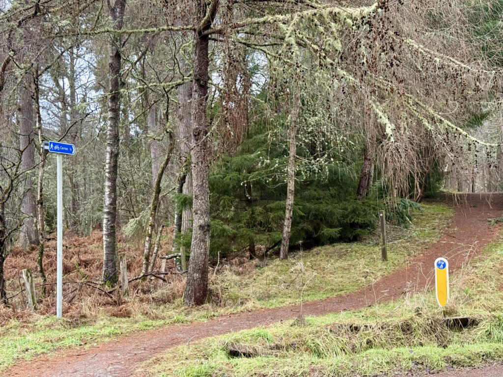 Additional image 40 of Carron, Aberlour, AB38