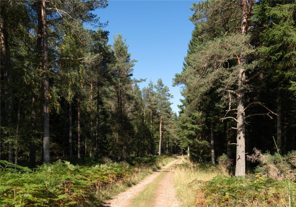 Additional image 10 of Arntilly Wood, Banchory, Aberdeenshire, AB34