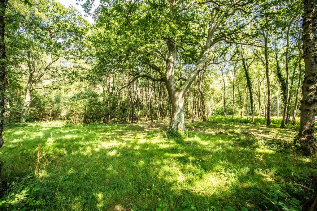 Additional image 13 of Park Corner, East Hoathly, Lewes