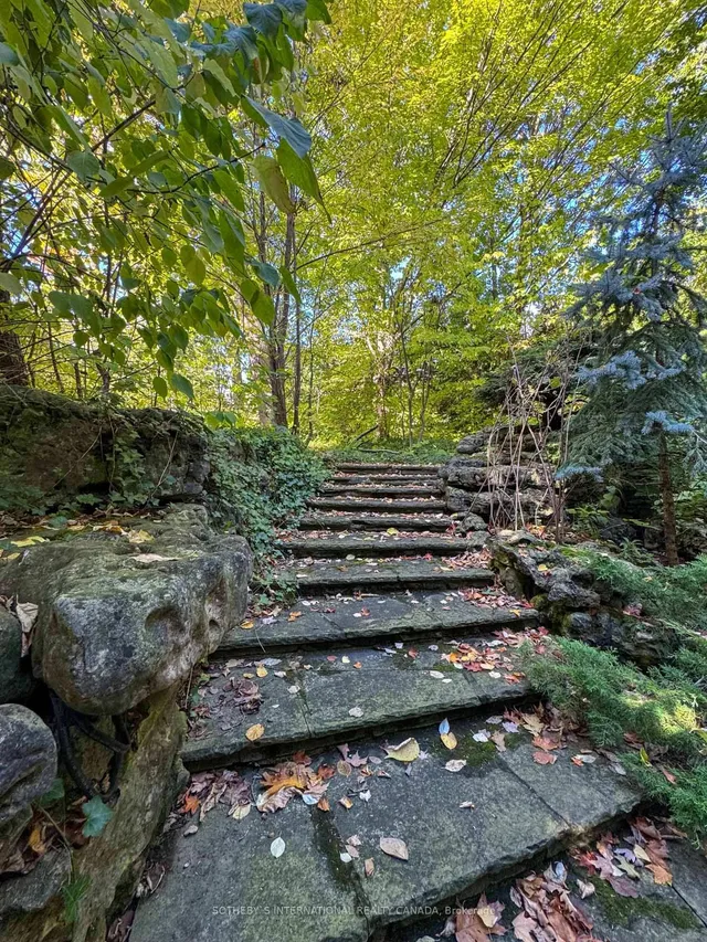 Additional image 38 of 241 Strathallan Wood