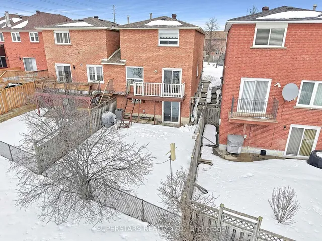 Additional image 23 of 4686 Owl Circ