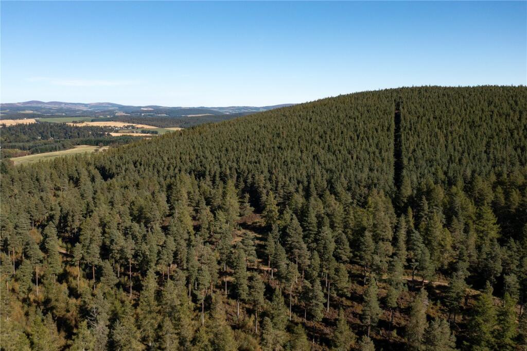 Additional image 9 of Arntilly Wood, Banchory, Aberdeenshire, AB34