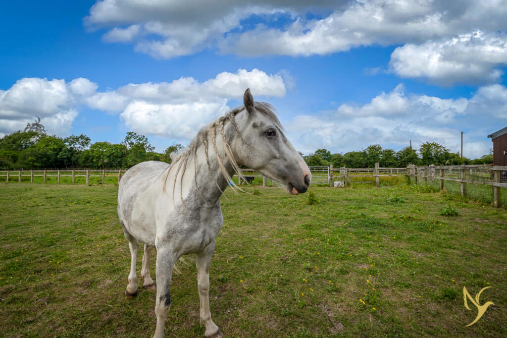 Additional image 39 of The Geldings, Bouts Lane, Holberrow Green, Worcestershire, B96 6JX