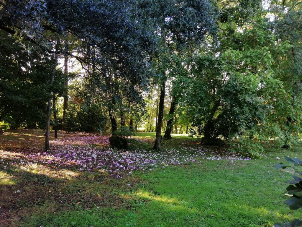 Primary image of Aquitaine, Dordogne, France