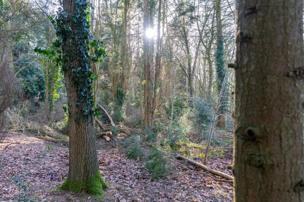 Additional image 37 of Dale Lane, Lickey End, B60 1GZ