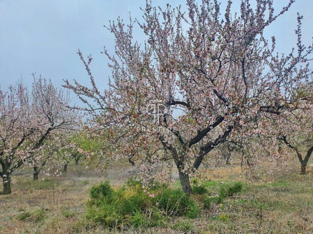 Additional image 2 of Andalucia, Malaga, Colmenar, Spain