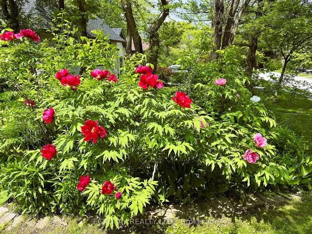 Additional image 22 of 32 Bradgate Rd