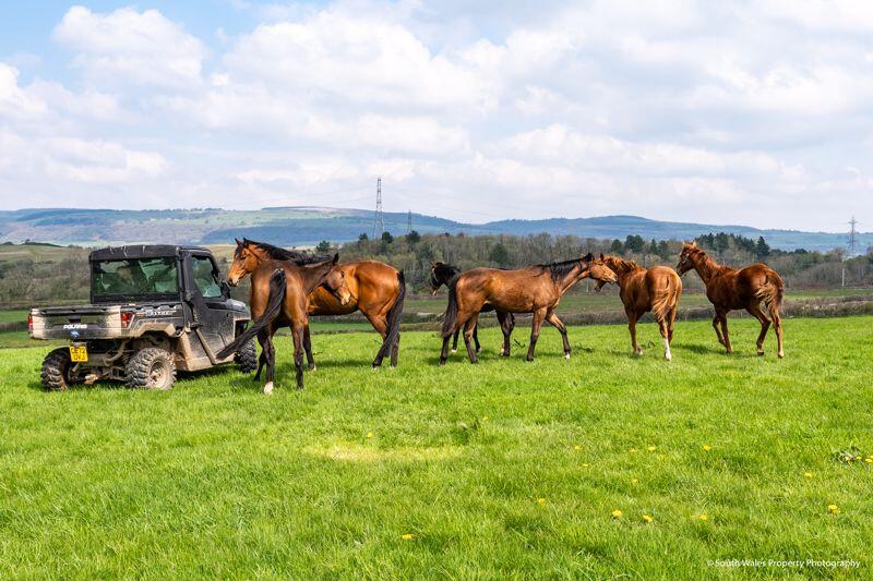 Additional image 16 of Llanmihangel Farm, Pyle, Bridgend, CF33 6RL