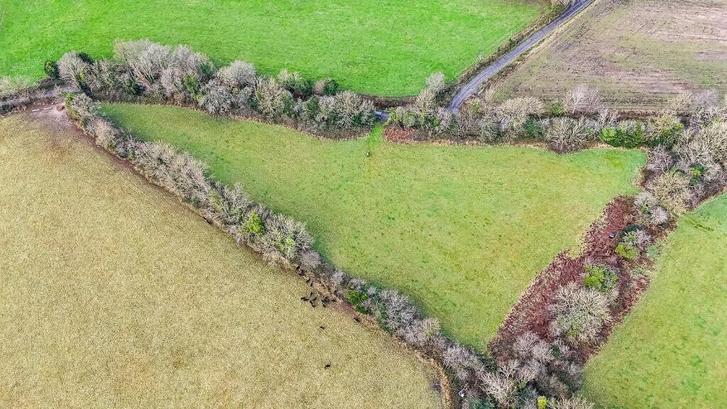 Additional image 3 of Lands At Clune Circa 4.62 Acres, Inistioge, Co Kilkenny, Ireland