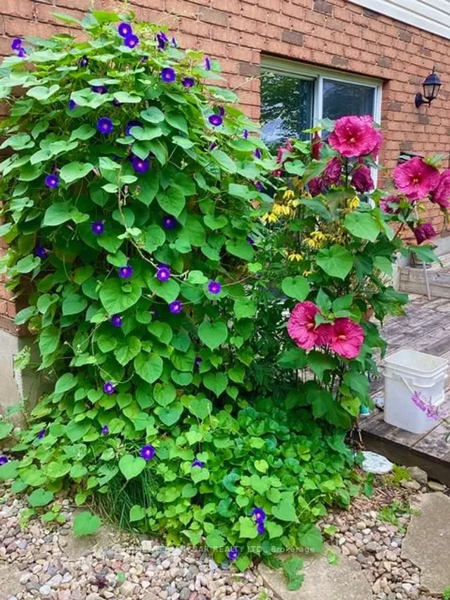 Additional image 24 of 962 Glasgow St