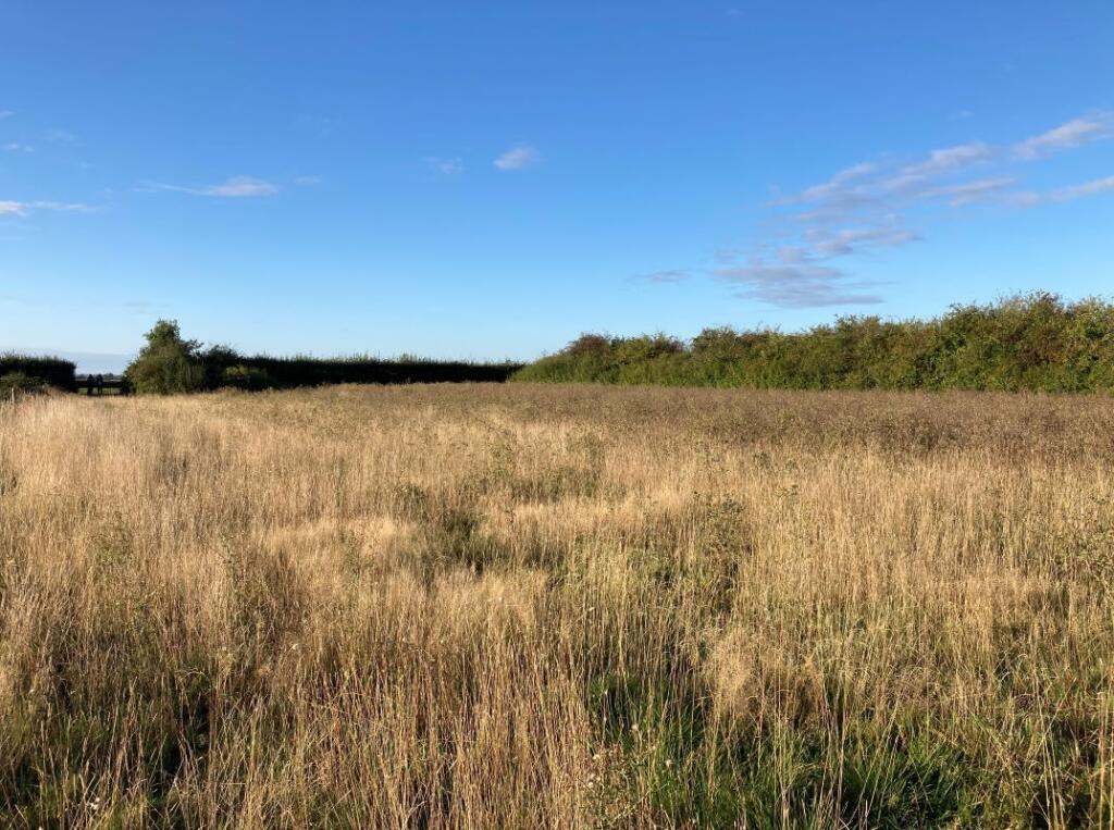 Additional image 3 of 0.96 acres of Land north of Iram Drove, Willingham, Cambridgeshire, CB24 5HZ