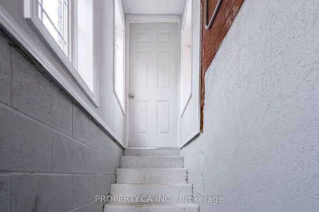 Additional image 34 of 4679 Owl Circ