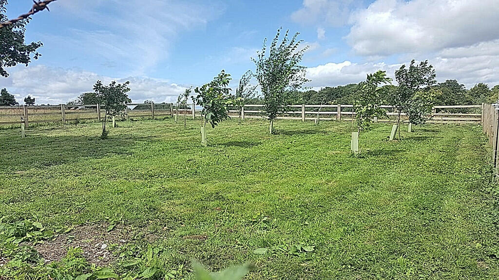Additional image 23 of Lartington