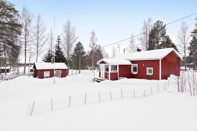 Additional image 2 of Luppio 241