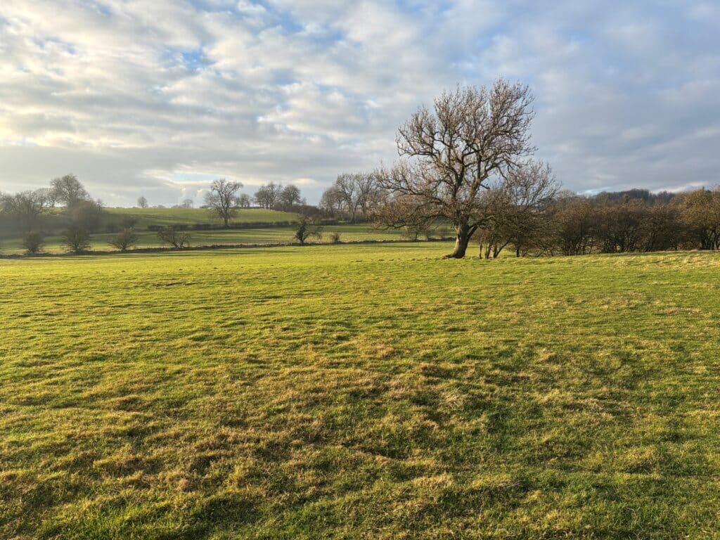 Additional image 4 of 49.8 Acres of Productive Grassland at Moulton, Richmond