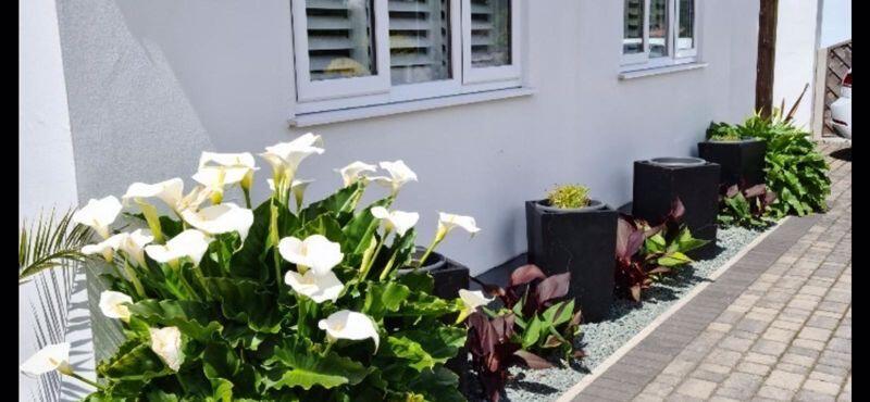 Additional image 22 of Ryan Close, Ferndown