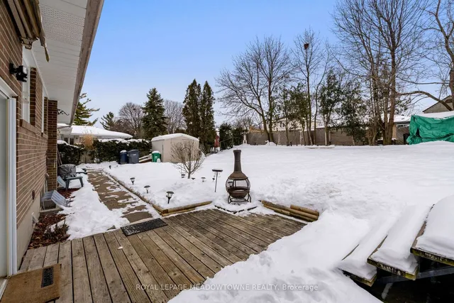 Additional image 31 of 237 Elizabeth St