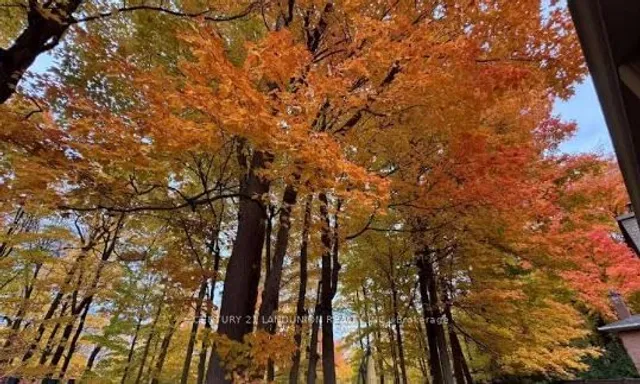 Additional image 23 of 39 Sagebrush Lane