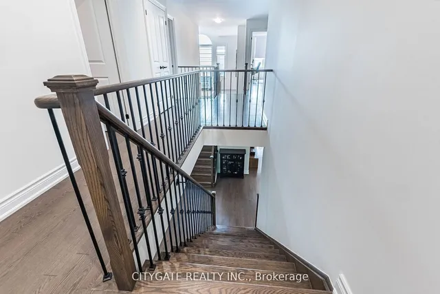 Additional image 24 of 44 elysian fields Circ