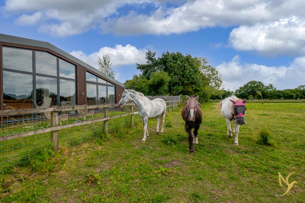 Additional image 5 of The Geldings, Bouts Lane, Holberrow Green, Worcestershire, B96 6JX