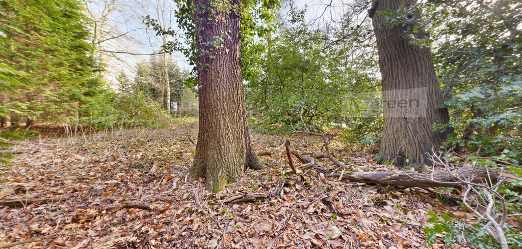 Additional image 4 of Penns Lake Road, Walmley