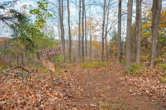 Additional image 30 of 4317 Limestone Rd