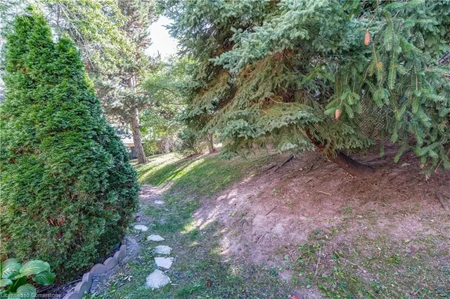 Additional image 24 of 1419 Ester Dr