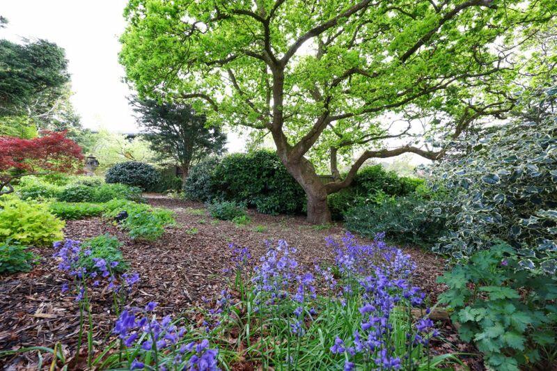 Additional image 20 of Druid Stoke Avenue | Stoke Bishop