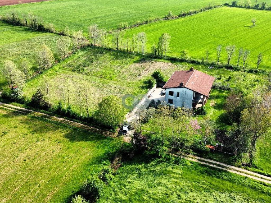 Additional image 2 of Rezzato