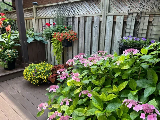 Additional image 39 of 1396 Golden Meadow Tr