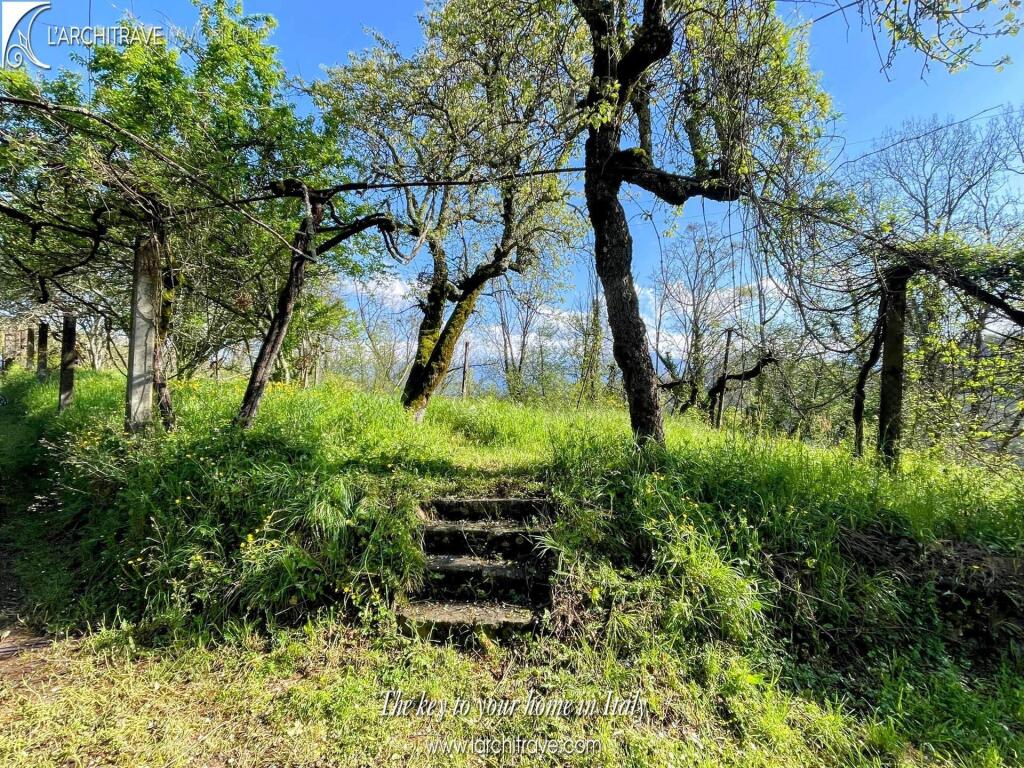 Additional image 3 of Tuscany, Lunigiana, Mulazzo, Italy