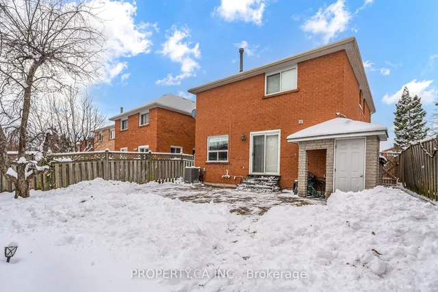 Additional image 35 of 4679 Owl Circ