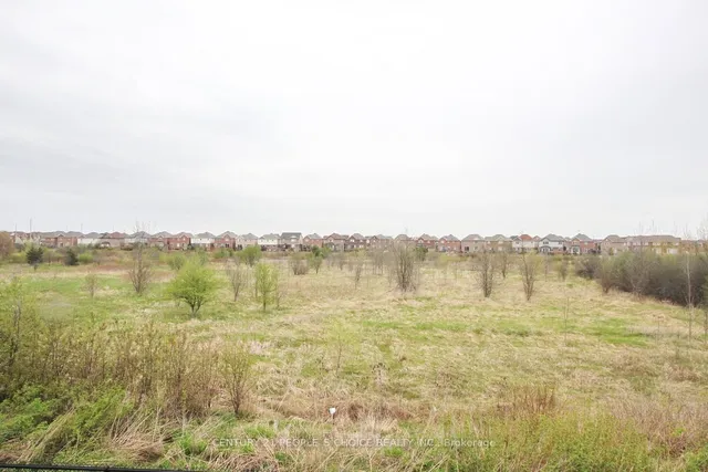 Additional image 21 of 67 Pellegrino Rd