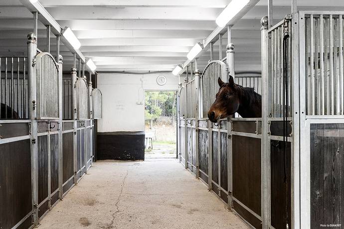 Additional image 3 of Vadvägen 33