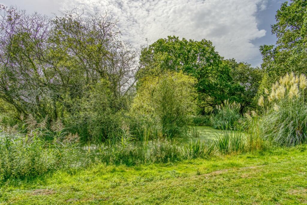 Additional image 22 of Blandford Road North,, Beacon Hill, Dorset, BH16